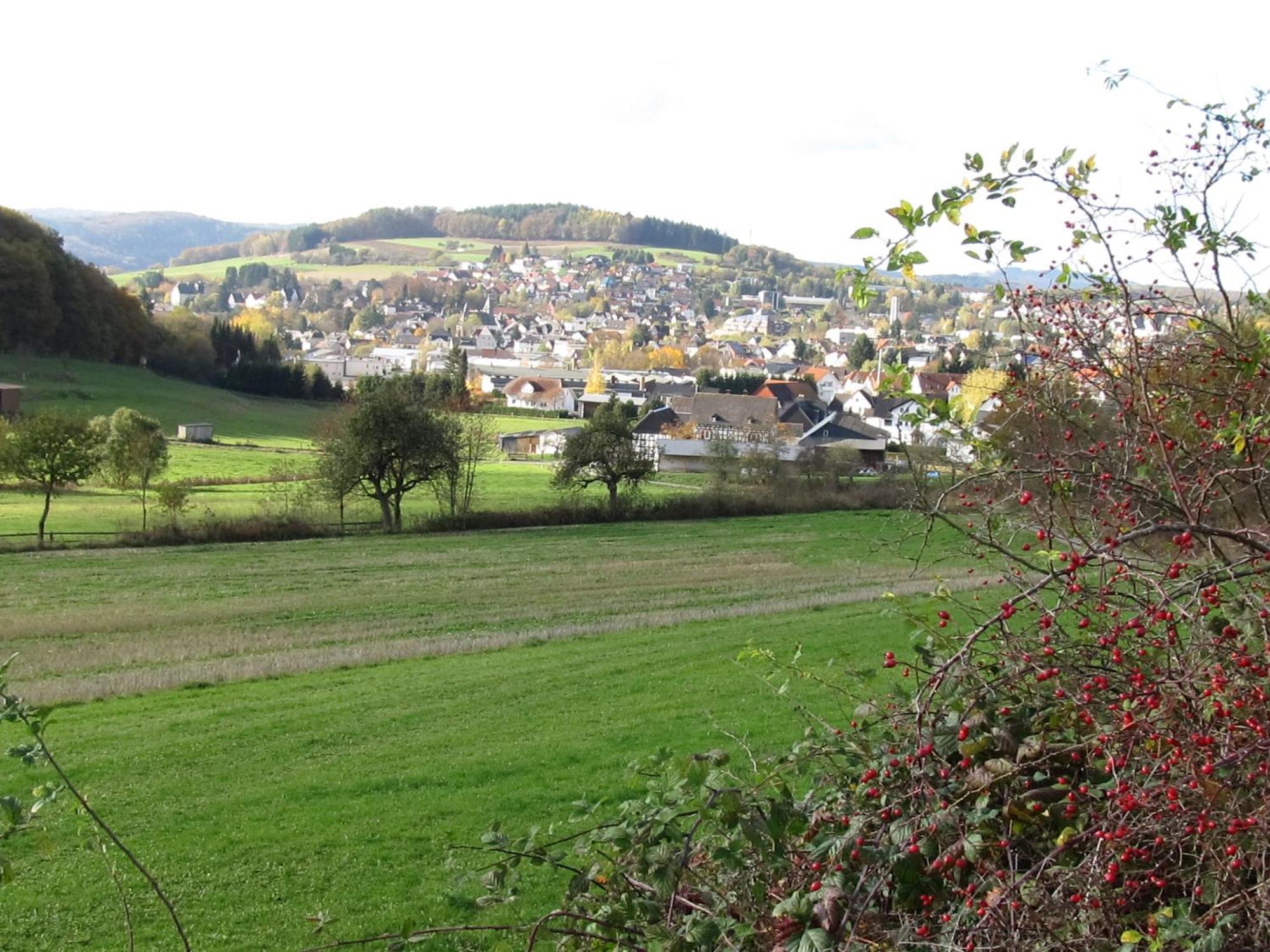Zum Treppche Hotel Garni Gladenbach Exterior foto